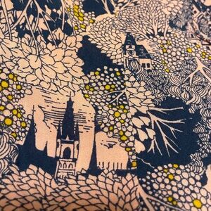 Pink and Blue Anthropologie Button Down Blouse